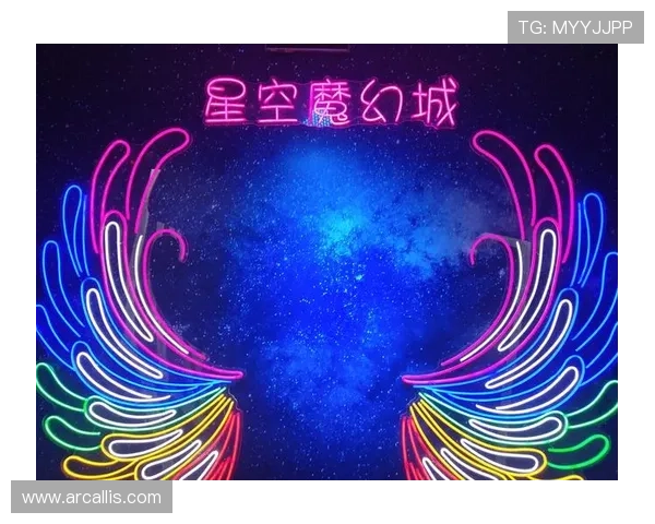 星空旗舰厅下载官网安全下载指南，保障您的设备安全与游戏体验